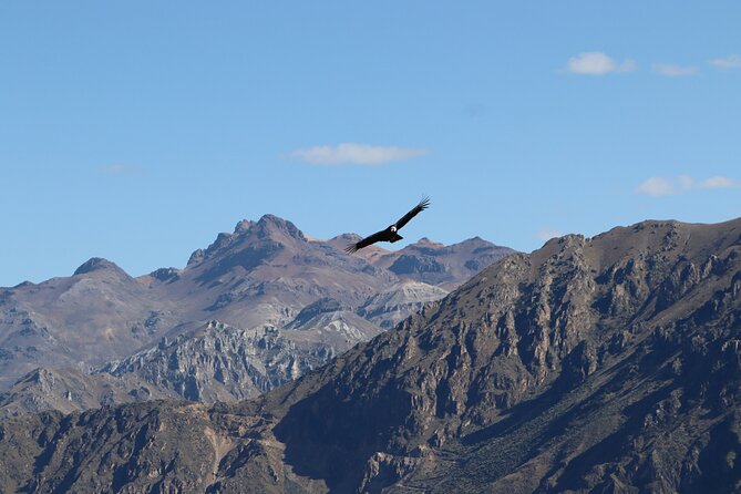 Private Full Day Tour to Colca Canyon with Breakfast - The Full Experience: What You Can Expect on this Private Tour