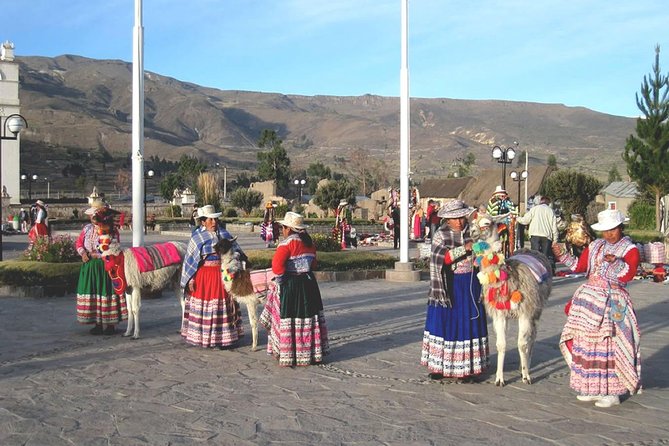 Private Colca Full-Day Tour from Arequipa - The Experience in Detail