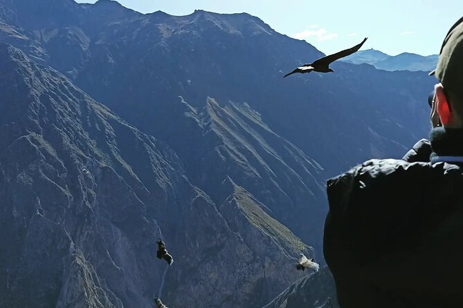 Private Colca Full-Day Tour from Arequipa - Final Thoughts