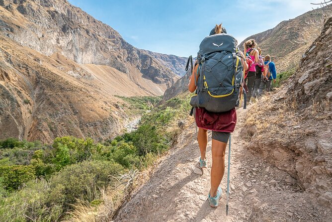Colca Trekking 2days from Arequipa - A comprehensive look at the Colca Trekking 2 Days from Arequipa