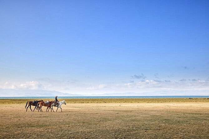 14 Day Epic Kyrgyzstan Trek in Tian Shan and Pamir Alay Mountains - Value and Cost Analysis