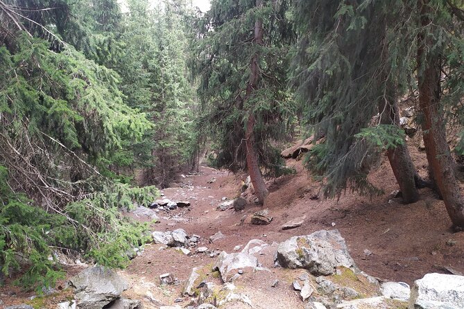 Marvellous 3 days around Issyk-Kul lake - The Sum Up