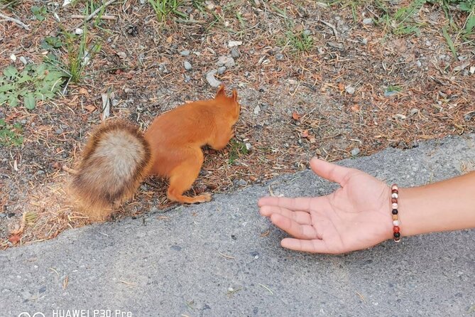 National park Ala-Archa & Chunkurchak ski base resort - FAQ