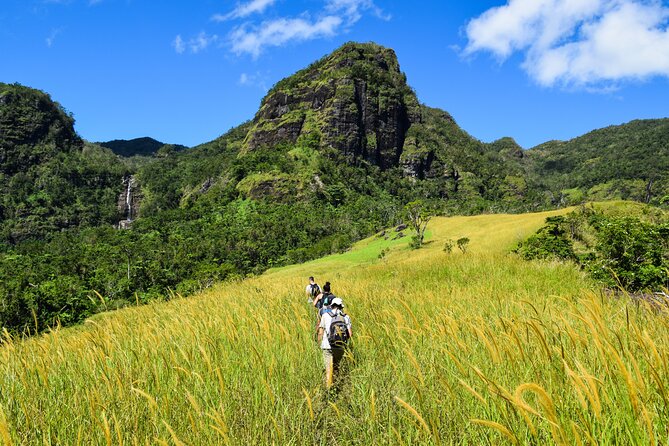 Koroyanitu National Heritage Park Fiji - Hike - Waterfall - An In-Depth Look at the Koroyanitu National Heritage Park Hike