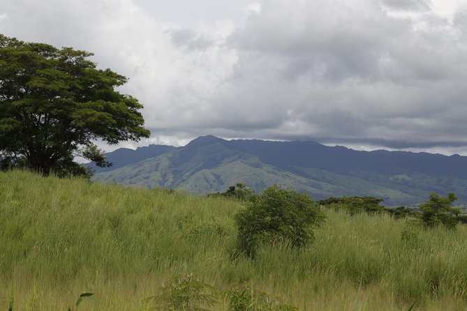 Fiji Local Village, Market, Temple & Garden of Sleeping Giant with Mud Pool Tour - Key Points