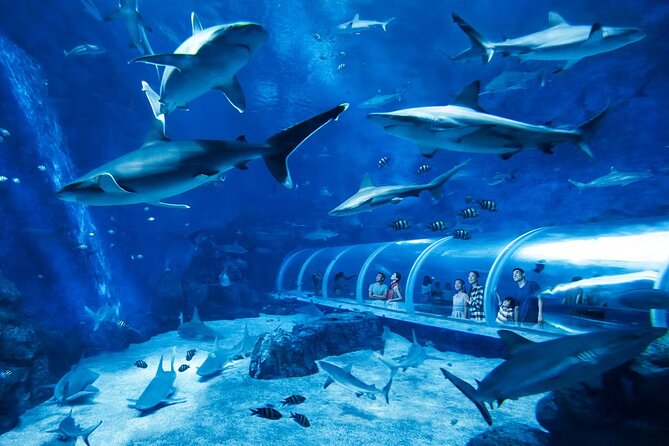 Combo Tickets for Universal Studios and Gardens by the Bay - Good To Know