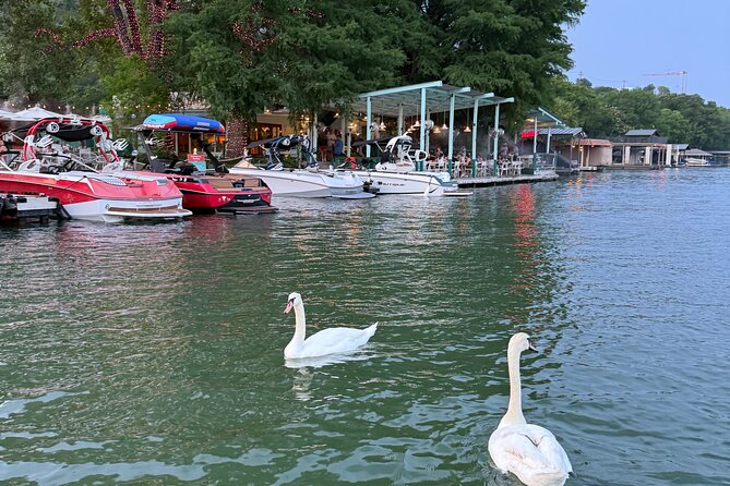 Scenic Lake Austin Boat Tour. BYOB. 2 hr (up to 12 guests) - Who Will Love This Tour?