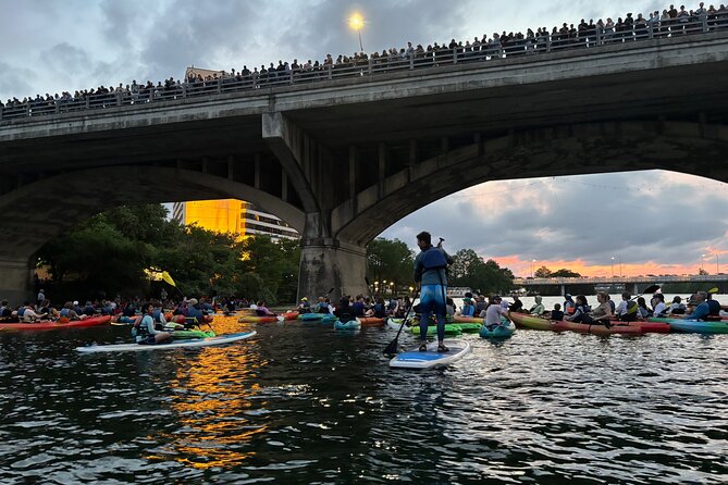 Congress Avenue Bat Bridge Paddleboard Tour - The Itinerary in Detail