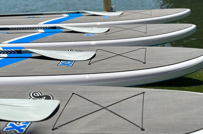 1 Hour Paddle Board Rental on Lake Austin Per Person - Analyzing the Cost & Value