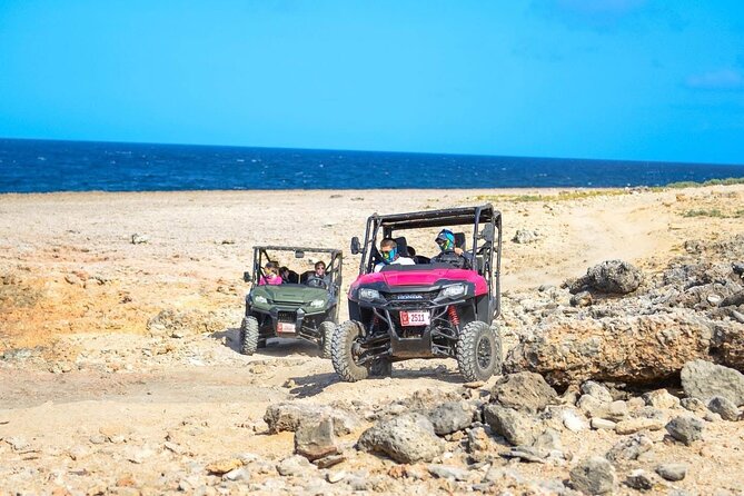 Half Day UTV Rentals - What the Tour Includes and What You Should Expect