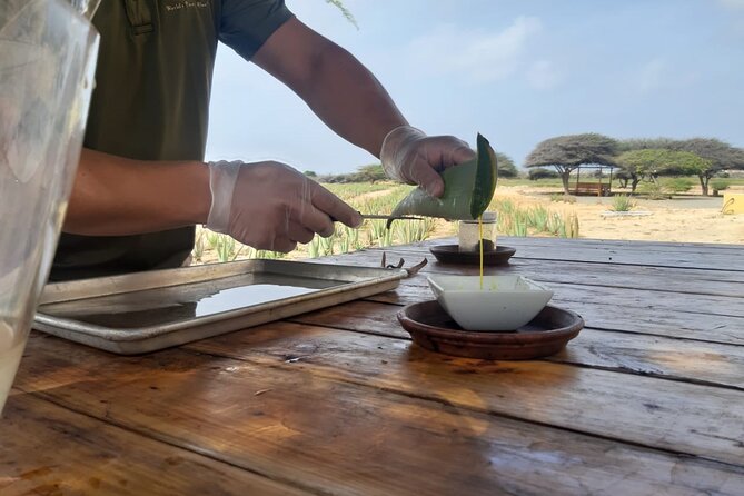 Half day Tour - Key Points