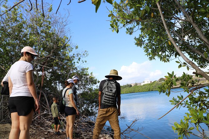 Spanish Lagoon Mangrove Trail & Bird Watching - FAQ