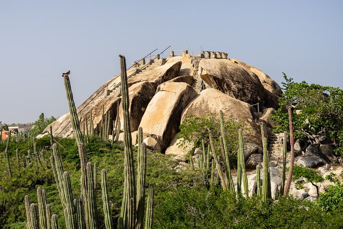 Colorful Beach Bus Sightseeing Tour of Aruba - Group size and atmosphere