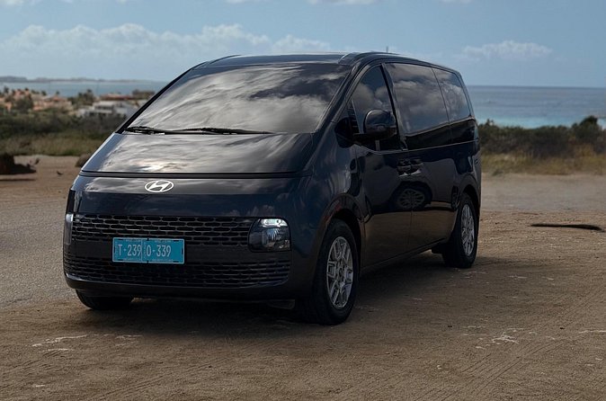 Private Airport Transfer Round-Trip Aruba - Who Should Consider This Service?