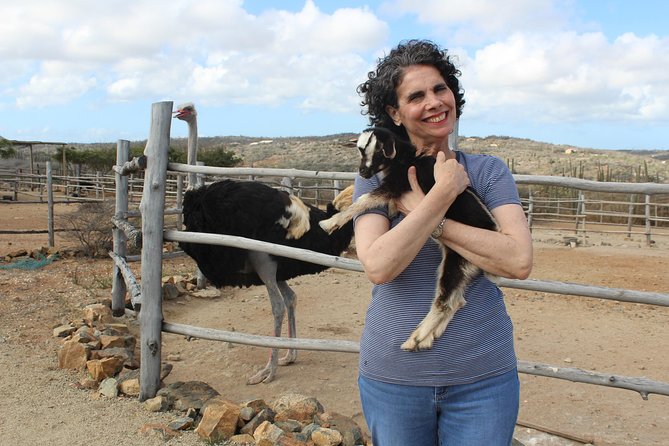 Highlights of Aruba Island Tour - Final Thoughts