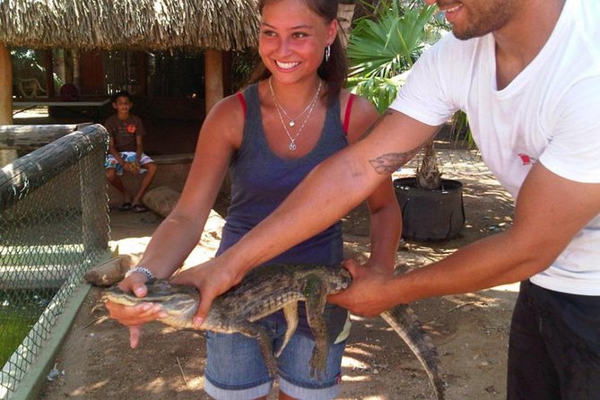 Half-Day Aruba Animal Sanctuary Guided Tour - The Sum Up: Is This Tour Worth It?