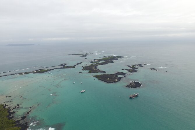 Tour of the city to Isabela + Tintoreras from Santa Cruz - A Deep Dive Into the Experience