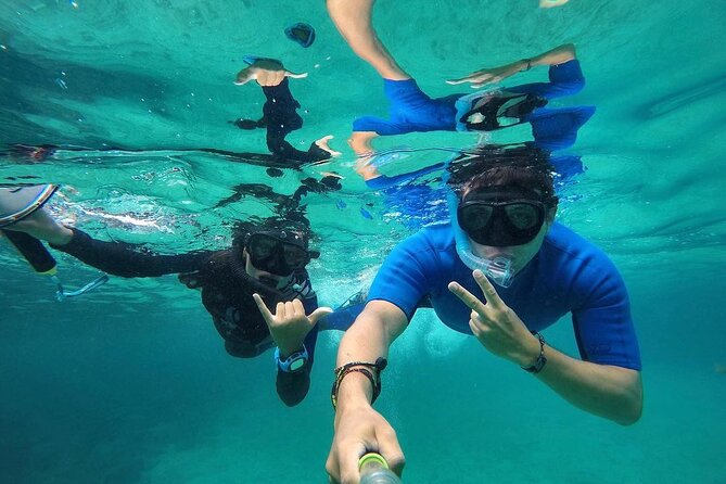 Full Day Pinzon Island, Finishing in la Fe with Snorkeling and Lunch included - Key Points