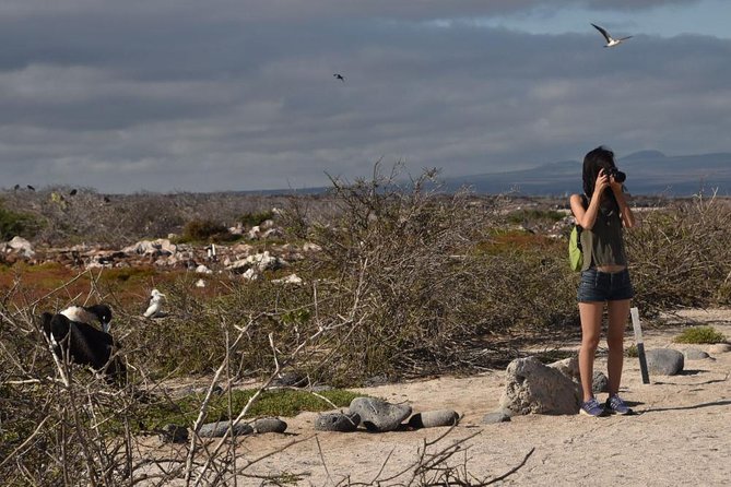 Seymour North Island & Las Bachas Full-Day Tour - Key Points