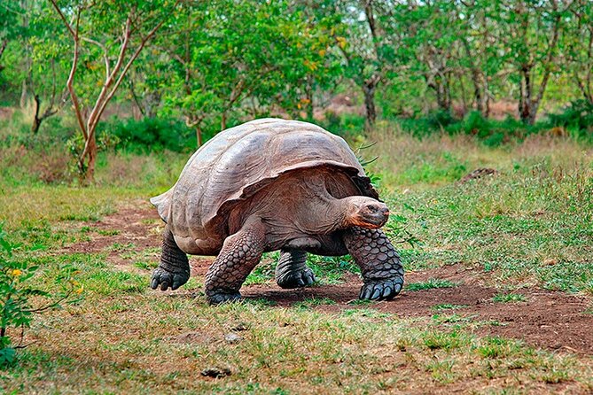 6 Days Galapagos Island Hopping - Detailed Breakdown of the Itinerary