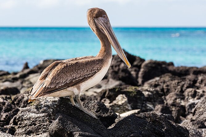 9 Days Galapagos Island Hopping - Practical Considerations