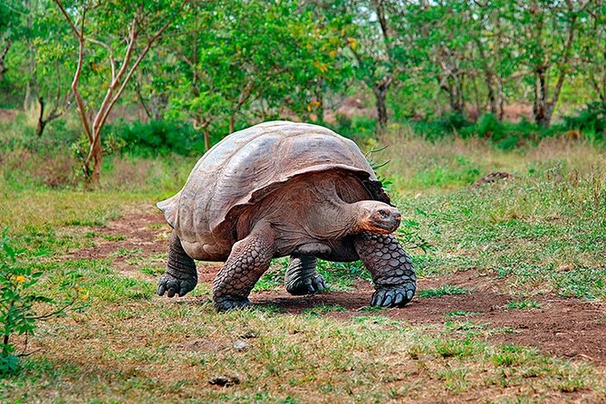 9 Days Galapagos Island Hopping - Final Thoughts