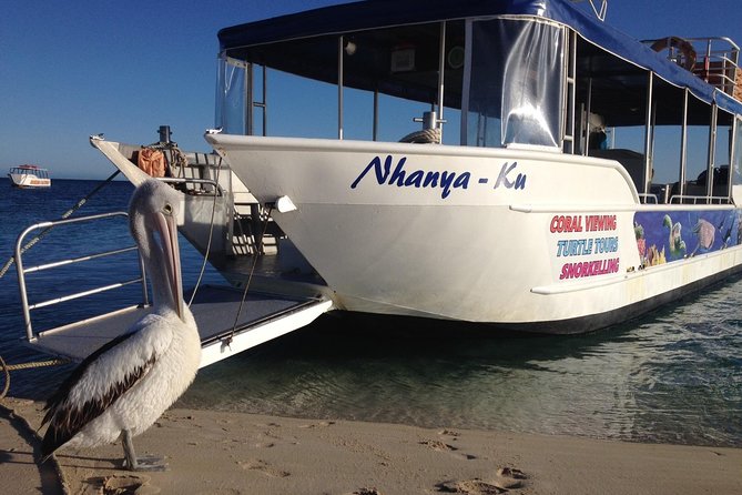 Coral Bay 3-Hour Turtle Ecotour - FAQ
