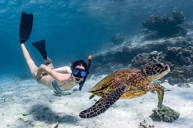 Coral Bay 3-Hour Turtle Ecotour - Coral Bay 3-Hour Turtle Ecotour: A Close Encounter with Marine Life