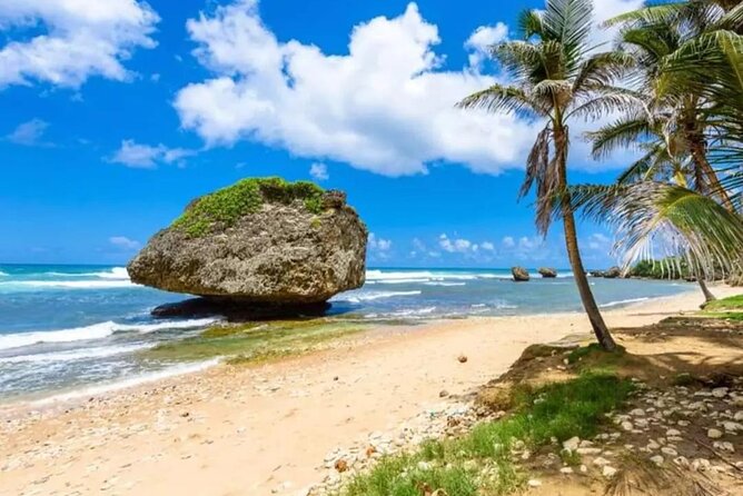 Private Guided Barbados Island Tour - Introduction: What to Expect from the Private Guided Barbados Island Tour
