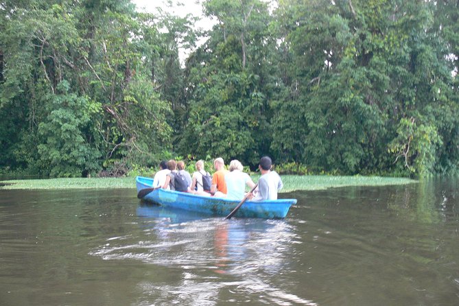 Canoe tour in Tortuguero National Park - An In-Depth Look at the Canoe Tour Experience