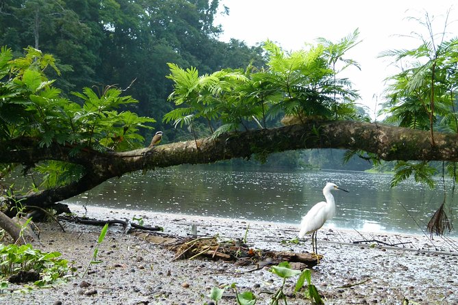 Canoe tour in Tortuguero National Park - Final Thoughts: Who Is This Tour For?