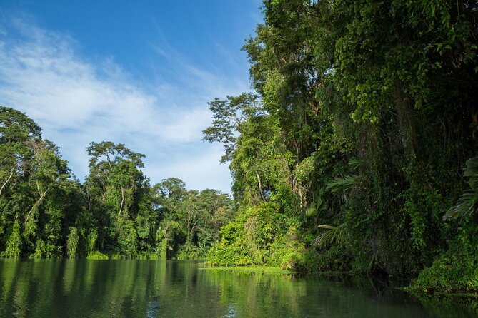 Canoe tour in Tortuguero National Park - Canoe Tour in Tortuguero National Park: An Up-Close Wildlife Adventure