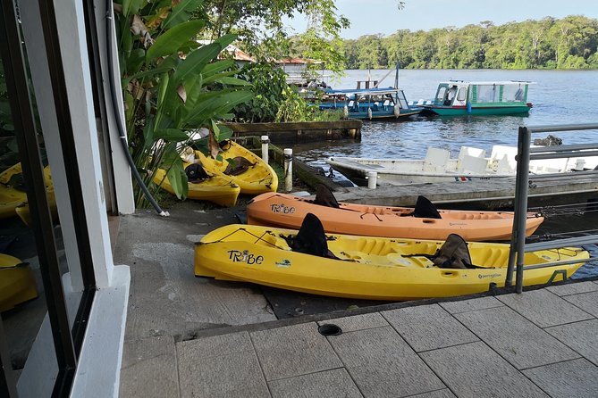 Total Tortuguero Canoe or Kayak+hike+NW(Tortugas from Jul-Oct) - A Deep Dive into the Experience: What You Can Expect