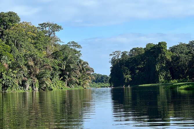 Small Group Tortuguero National Park Canoe Tour - An In-Depth Look at the Tour Experience