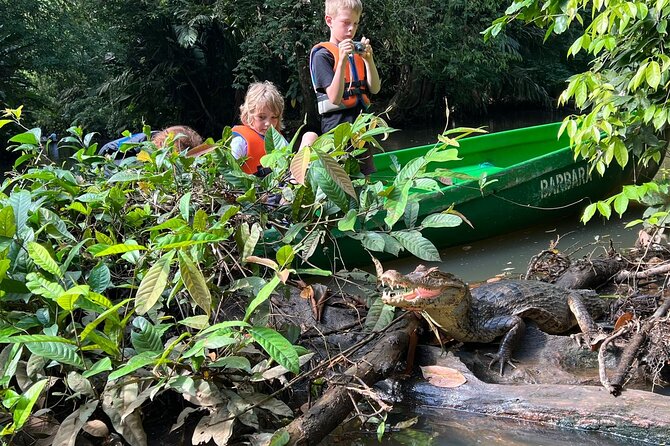 Small Group Tortuguero National Park Canoe Tour - FAQs