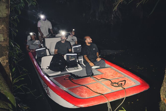 Secret Night Walk in Tortuguero - Key Points