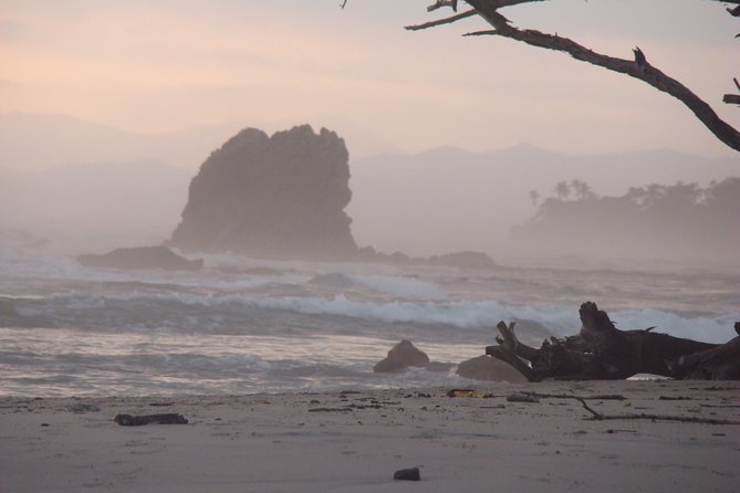 Private Transportation San Jose Airport to Nosara, Guanacaste - The Details: What to Expect on Your Transfer