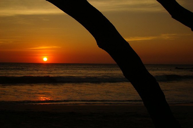 Private Transportation San Jose Airport to Nosara, Guanacaste - The Sum Up