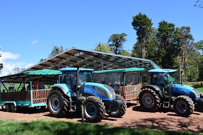 Corso Lecheria Tour - Final Thoughts