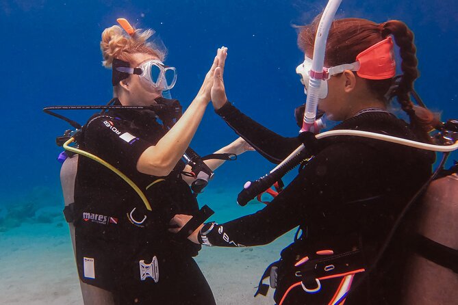 Personalized Discover Scuba Dive Experience in Curaçao - Final Thoughts: Who Should Book?