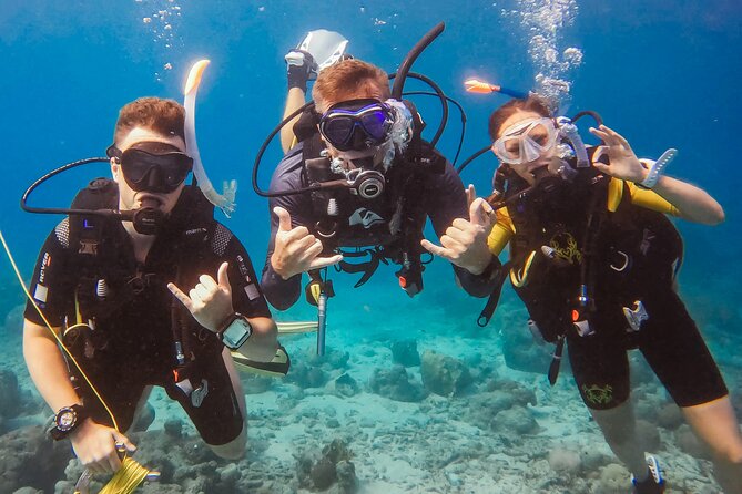 Personalized Discover Scuba Dive Experience in Curaçao - Discover Curaçao’s Underwater Beauty with Soul Divers’ Personal Scuba Experience