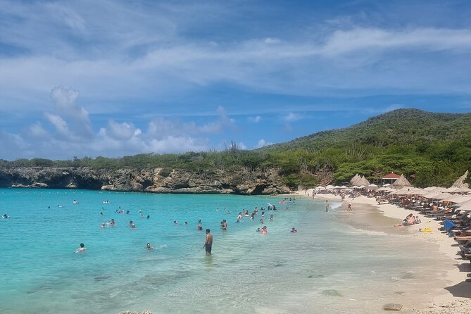 Private Westcoast Beachhop Tour. Turtle beach, grote knip & More - Who Will Love This Tour?