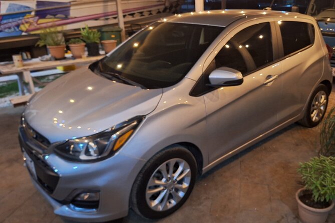 Turtle encounter, Hidden cave and Beach Tour - FAQ