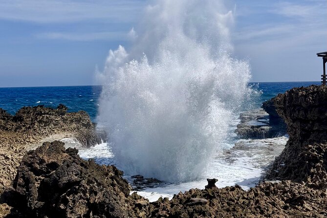 Private Curaçao West Coast: Beach & Nature Photography Tour - What’s Included and What to Consider