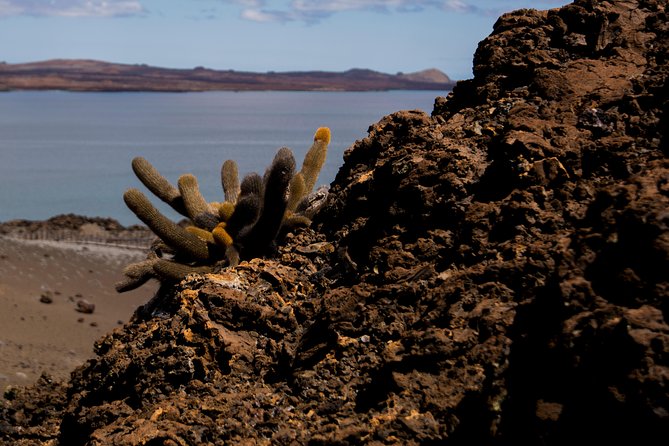 Day Trip to Bartolome Island from Puerto Ayora - What Makes This Tour Stand Out?