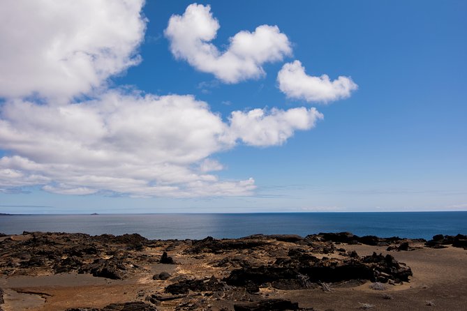 Day Trip to Bartolome Island from Puerto Ayora - Considerations and Tips for Travelers