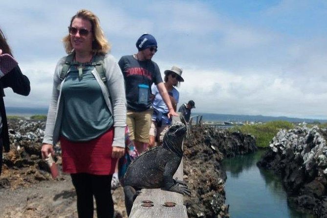 Half Day Tintoreras Tour from Isabela Island - Final Thoughts: Is This Tour Right for You?