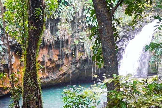 Island Bites & Highlights Food Tour (Full/Half Day) - Key Points