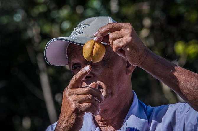 Grandanse Beach Time, Fort Frederick and Annandale Falls Tour - Frequently Asked Questions