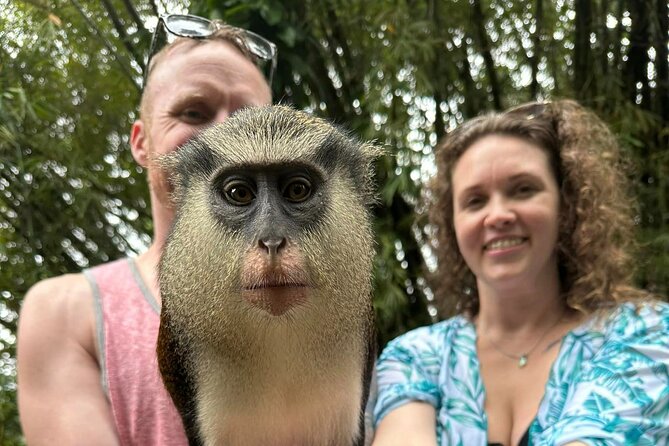 Private Guided Grenada Island Tour "BY THE HOUR" - The Sum Up: Is This Tour Right for You?